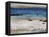 Rocky Beach-Tim O'toole-Framed Stretched Canvas