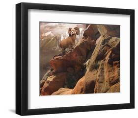 Rocky Bighorn-Steve Hunziker-Framed Art Print