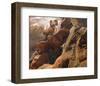 Rocky Bighorn-Steve Hunziker-Framed Art Print