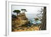 Rocky Cliff and Trees in Carmel near Pebble Beach. Carmel, California, Usa.-Lynn Y-Framed Photographic Print