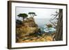 Rocky Cliff and Trees in Carmel near Pebble Beach. Carmel, California, Usa.-Lynn Y-Framed Photographic Print