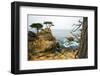 Rocky Cliff and Trees in Carmel near Pebble Beach. Carmel, California, Usa.-Lynn Y-Framed Photographic Print