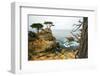 Rocky Cliff and Trees in Carmel near Pebble Beach. Carmel, California, Usa.-Lynn Y-Framed Photographic Print