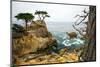 Rocky Cliff and Trees in Carmel near Pebble Beach. Carmel, California, Usa.-Lynn Y-Mounted Photographic Print