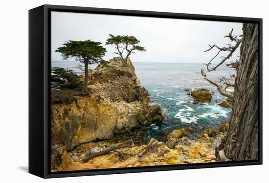 Rocky Cliff and Trees in Carmel near Pebble Beach. Carmel, California, Usa.-Lynn Y-Framed Stretched Canvas