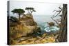 Rocky Cliff and Trees in Carmel near Pebble Beach. Carmel, California, Usa.-Lynn Y-Stretched Canvas