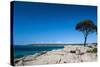 Rocky Cliffs on Shelley Cove Near Eagle Bay, Western Australia, Australia, Pacific-Michael Runkel-Stretched Canvas