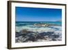 Rocky Cliffs on Shelley Cove Near Eagle Bay, Western Australia, Australia, Pacific-Michael Runkel-Framed Photographic Print