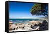 Rocky Cliffs on Shelley Cove Near Eagle Bay, Western Australia, Australia, Pacific-Michael Runkel-Framed Stretched Canvas