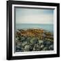 Rocky Coast, 2007-Cédric Bihr-Framed Premium Giclee Print