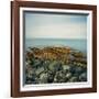 Rocky Coast, 2007-Cédric Bihr-Framed Premium Giclee Print
