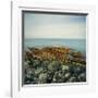 Rocky Coast, 2007-Cédric Bihr-Framed Premium Giclee Print