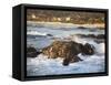 Rocky Coast Along Ocean Drive in Carmel, California, United States of America, North America-Donald Nausbaum-Framed Stretched Canvas
