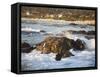 Rocky Coast Along Ocean Drive in Carmel, California, United States of America, North America-Donald Nausbaum-Framed Stretched Canvas