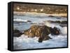 Rocky Coast Along Ocean Drive in Carmel, California, United States of America, North America-Donald Nausbaum-Framed Stretched Canvas