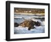 Rocky Coast Along Ocean Drive in Carmel, California, United States of America, North America-Donald Nausbaum-Framed Photographic Print