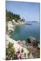 Rocky Coast and Harbour, Trsteno, Dubrovnik, Croatia, Europe-John Miller-Mounted Photographic Print