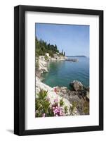 Rocky Coast and Harbour, Trsteno, Dubrovnik, Croatia, Europe-John Miller-Framed Photographic Print