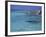 Rocky Coast and Sea, Formentera, Balearic Islands, Spain, Mediterranean, Europe-Vincenzo Lombardo-Framed Photographic Print