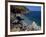 Rocky Coast, Island of Sicily, Italy, Mediterranean-Julian Pottage-Framed Photographic Print