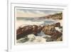 Rocky Coast, Laguna Beach, California-null-Framed Art Print