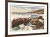 Rocky Coast, Laguna Beach, California-null-Framed Art Print