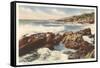 Rocky Coast, Laguna Beach, California-null-Framed Stretched Canvas