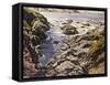 Rocky Coast, (Oil on Canvas)-Walter Elmer Schofield-Framed Stretched Canvas