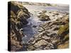 Rocky Coast, (Oil on Canvas)-Walter Elmer Schofield-Stretched Canvas