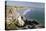 Rocky Coastal Overview, Pismo Beach, California, USA-Cindy Miller Hopkins-Stretched Canvas