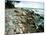 Rocky Coastline and Rainbow, Jasmund National Park, Island of Ruegen, Germany-Christian Ziegler-Mounted Photographic Print