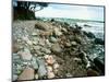 Rocky Coastline and Rainbow, Jasmund National Park, Island of Ruegen, Germany-Christian Ziegler-Mounted Photographic Print