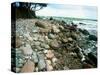 Rocky Coastline and Rainbow, Jasmund National Park, Island of Ruegen, Germany-Christian Ziegler-Stretched Canvas