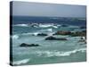 Rocky Coastline as Seen from the 17 Mile Drive, on the Monterey Peninsula, California, USA-Tomlinson Ruth-Stretched Canvas