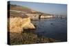 Rocky Coastline Looking Towards Pismo Beach-Stuart-Stretched Canvas