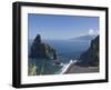 Rocky Coastline with Lava Rock Columns Jutting Out of the Ocean, Northern Madeira, Portugal, Atlant-James Emmerson-Framed Photographic Print