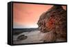 Rocky Coastline with Sea-Will Wilkinson-Framed Stretched Canvas