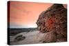 Rocky Coastline with Sea-Will Wilkinson-Stretched Canvas