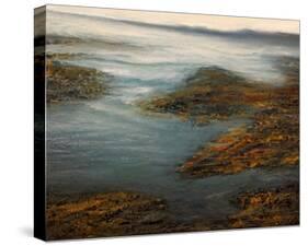 Rocky Cove-Michael Mote-Stretched Canvas