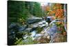 Rocky Creek During Fall White Mountains-George Oze-Stretched Canvas