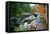 Rocky Creek During Fall White Mountains-George Oze-Framed Stretched Canvas