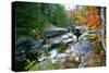 Rocky Creek During Fall White Mountains-George Oze-Stretched Canvas