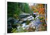 Rocky Creek During Fall White Mountains-George Oze-Framed Photographic Print