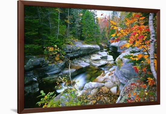 Rocky Creek During Fall White Mountains-George Oze-Framed Photographic Print