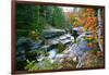 Rocky Creek During Fall White Mountains-George Oze-Framed Photographic Print