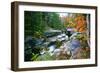 Rocky Creek During Fall White Mountains-George Oze-Framed Photographic Print