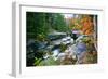 Rocky Creek During Fall White Mountains-George Oze-Framed Photographic Print