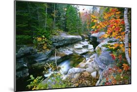 Rocky Creek During Fall White Mountains-George Oze-Mounted Photographic Print