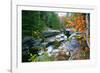 Rocky Creek During Fall White Mountains-George Oze-Framed Photographic Print