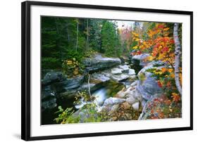 Rocky Creek During Fall White Mountains-George Oze-Framed Photographic Print